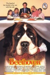 Download Beethoven (1992) Dual Audio (Hindi-English) 480p [320MB] || 720p [900MB] || 1080p [3.8GB]