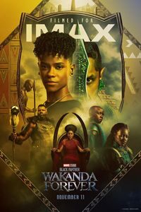 Download Black Panther: Wakanda Forever (2022) Dual Audio {Hindi-English} IMAX WeB-DL 480p [500MB] || 720p [1.4GB] || 1080p [3.5GB]