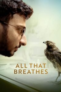 Download All That Breathes (2022) Dual Audio {Hindi-English} WEB-DL ESubs 480p [310MB] || 720p [870MB] || 1080p [2GB]