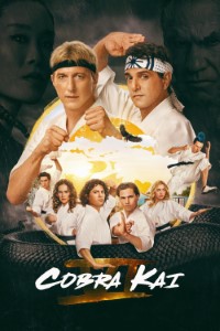 Download Cobra Kai (Season 1 – 6) [S06E05 Added] Dual Audio {Hindi-English} WeB-DL 480p [130MB] || 720p [220MB] || 1080p [1.7GB]